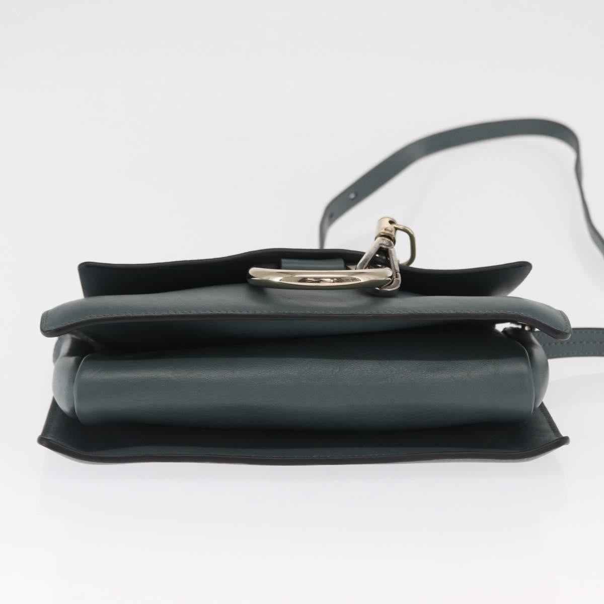 Chloe Faye Shoulder Bag Leather and Suede, GREEN, LEATHER, Shoulder bag