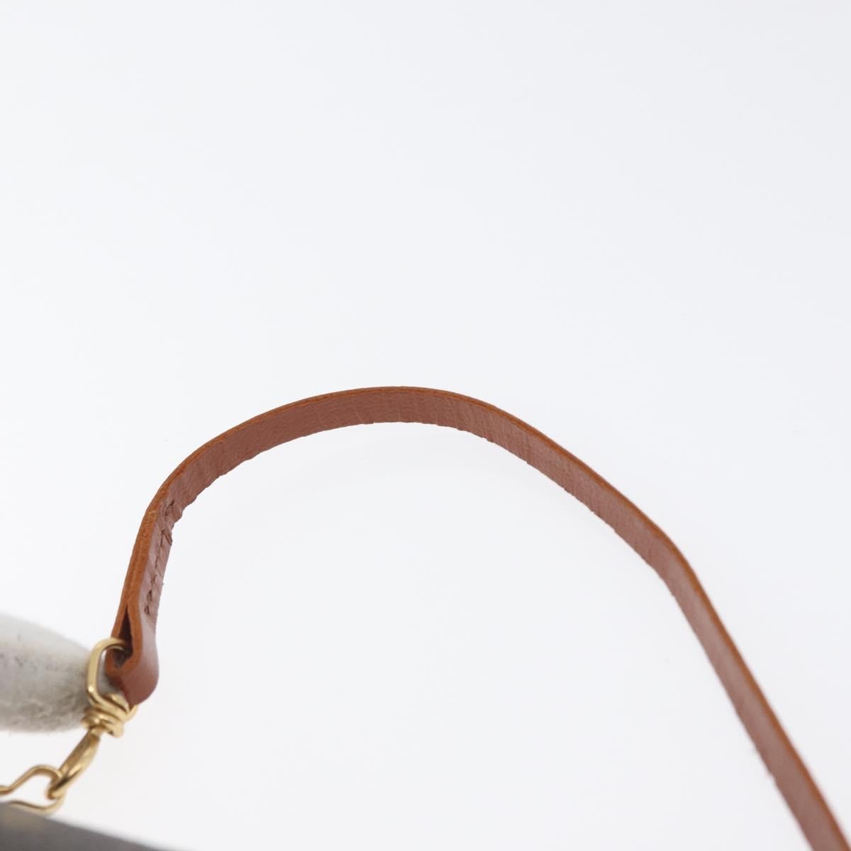 Louis Vuitton Papillon Pochette Monogram Canvas, BROWN, CANVAS, Clutche & pouche