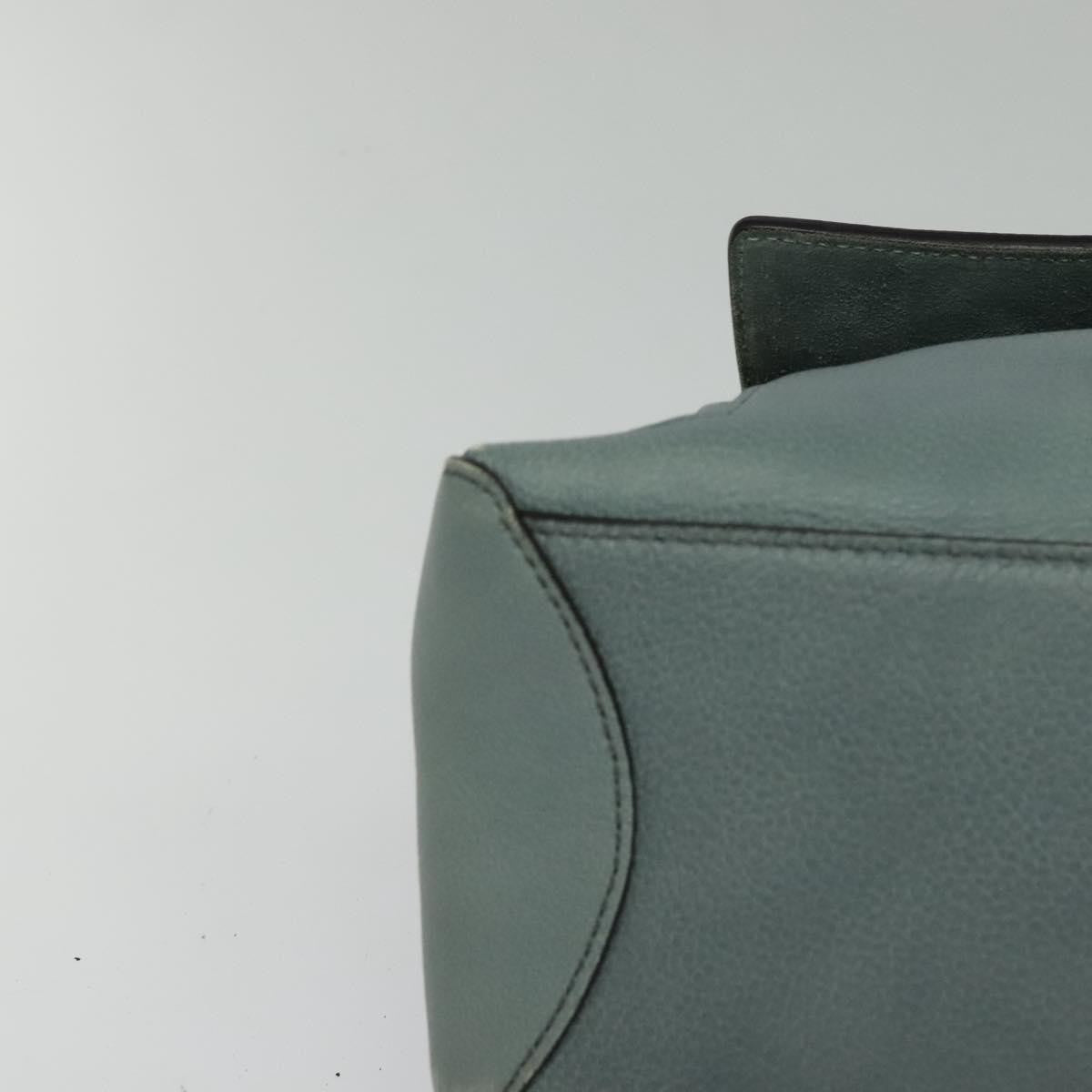 Chloe Faye Day Bag Leather, GREEN, LEATHER, Handbag