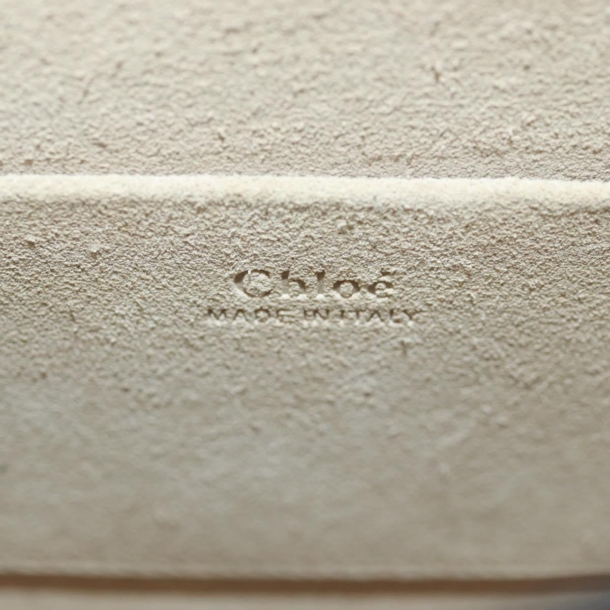 Chloe Nile Crossbody Bag Leather, BEIGE, LEATHER, Shoulder bag