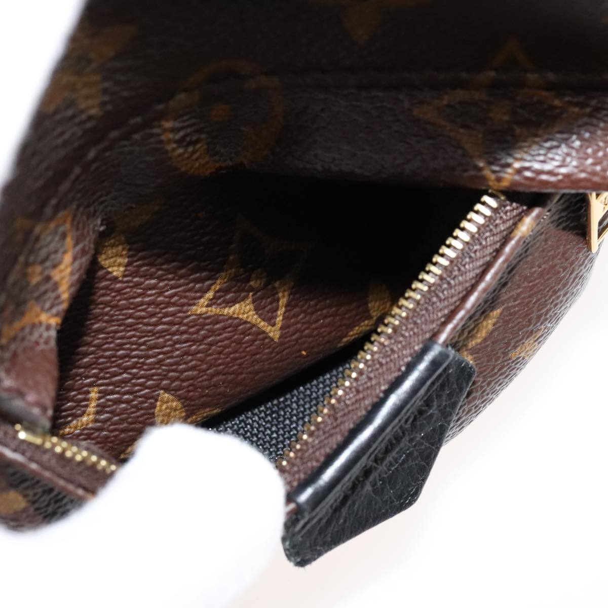 Louis Vuitton Palm Springs Backpack Monogram Canvas, BROWN, CANVAS, Backpack