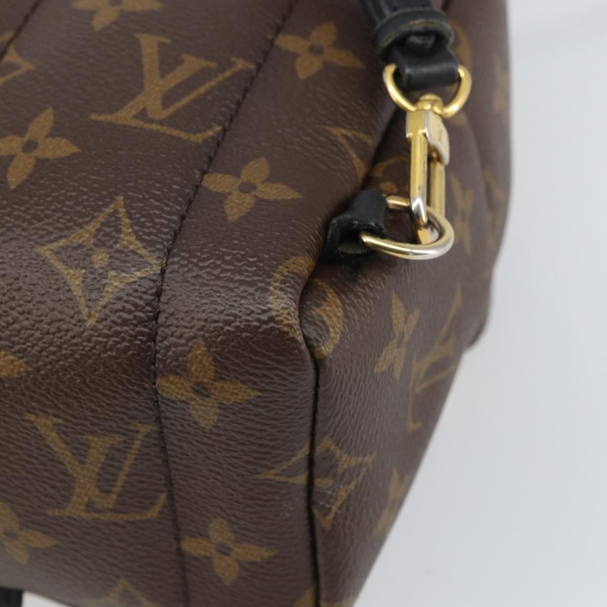 Louis Vuitton Palm Springs Backpack Monogram Canvas, BROWN, CANVAS, Backpack