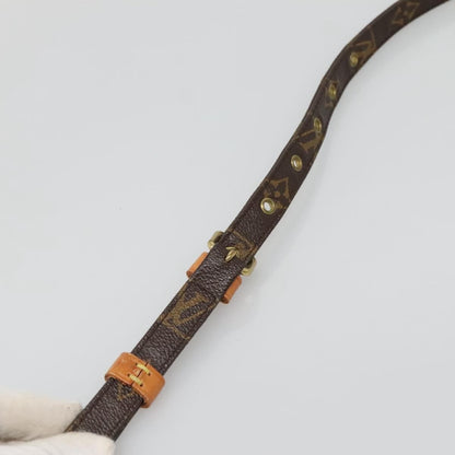 Louis Vuitton Danube 15 Crossbody Bag Monogram Canvas, BROWN, CANVAS, Crossbody bag