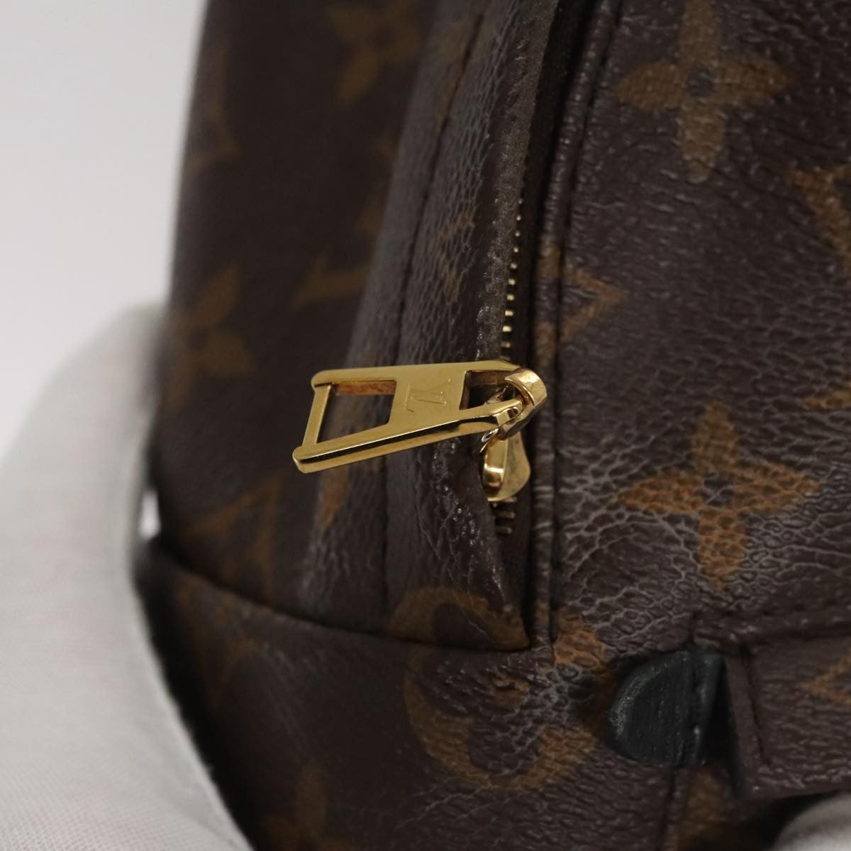 Louis Vuitton Palm Springs Backpack Monogram Canvas, BROWN, CANVAS, Backpack