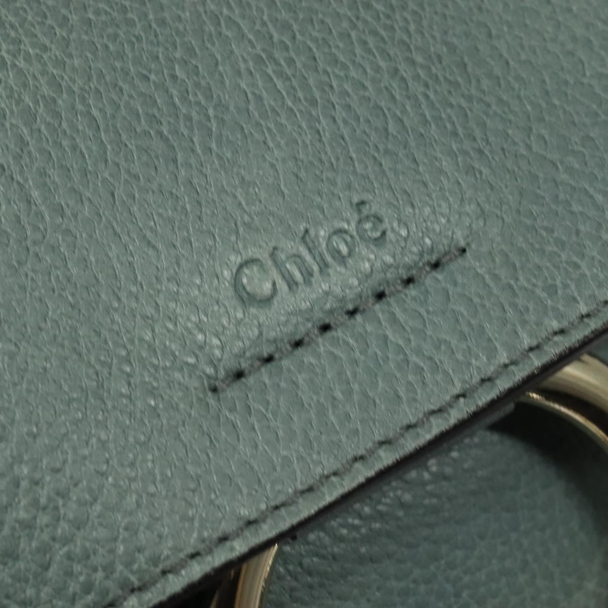 Chloe Faye Day Bag Leather, GREEN, LEATHER, Handbag