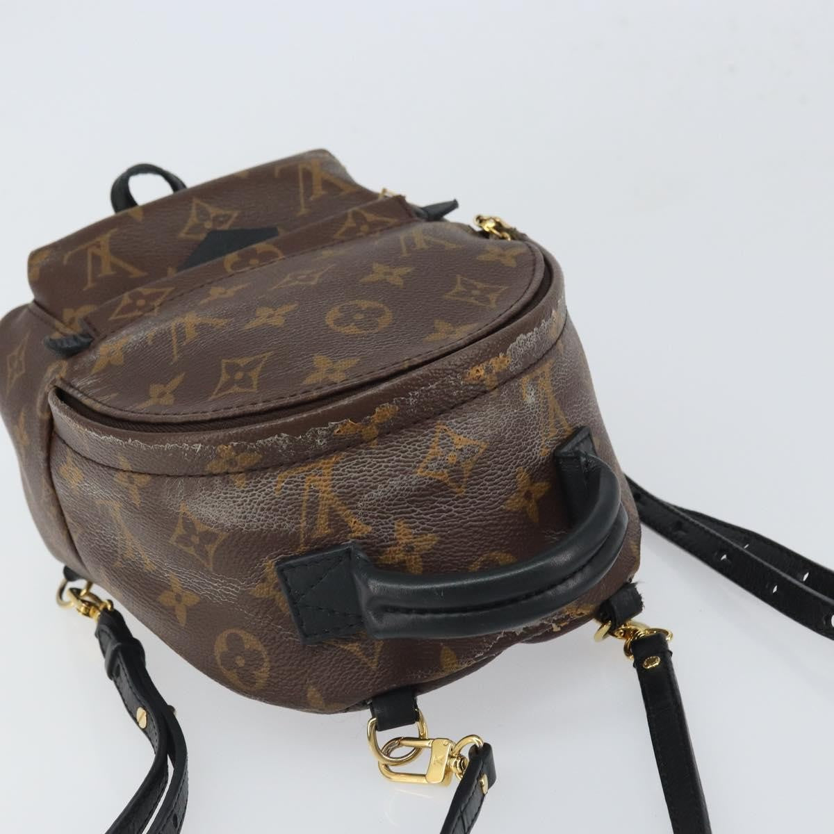 Louis Vuitton Palm Springs Backpack Monogram Canvas, BROWN, CANVAS, Backpack