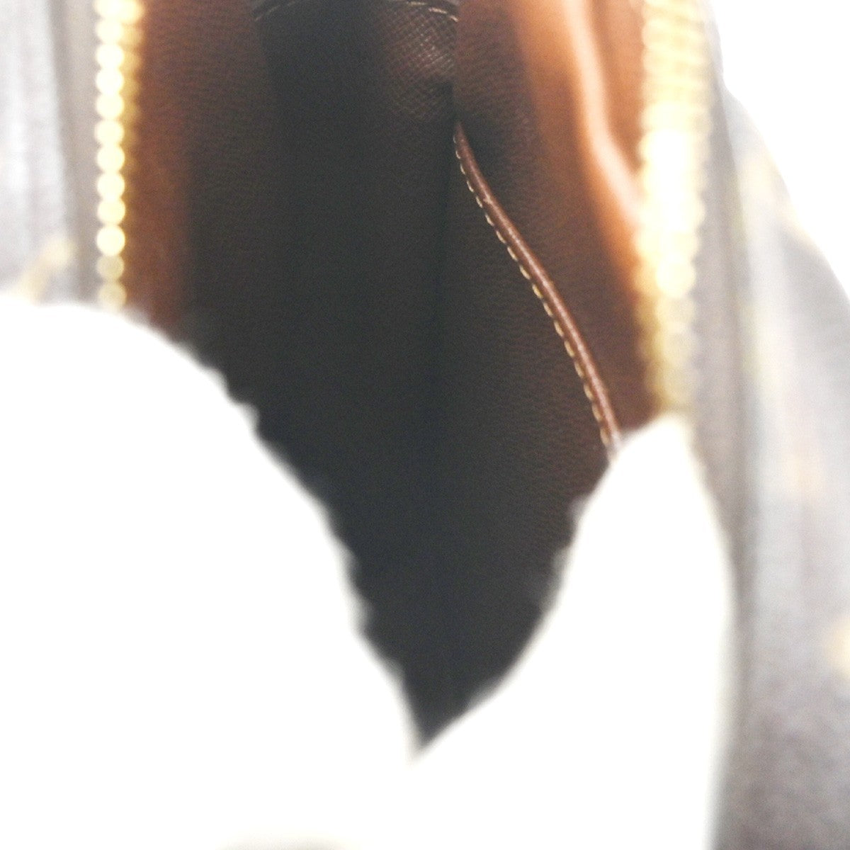 Louis Vuitton Amazone Bag Monogram Canvas, BROWN, CANVAS, Shoulder bag