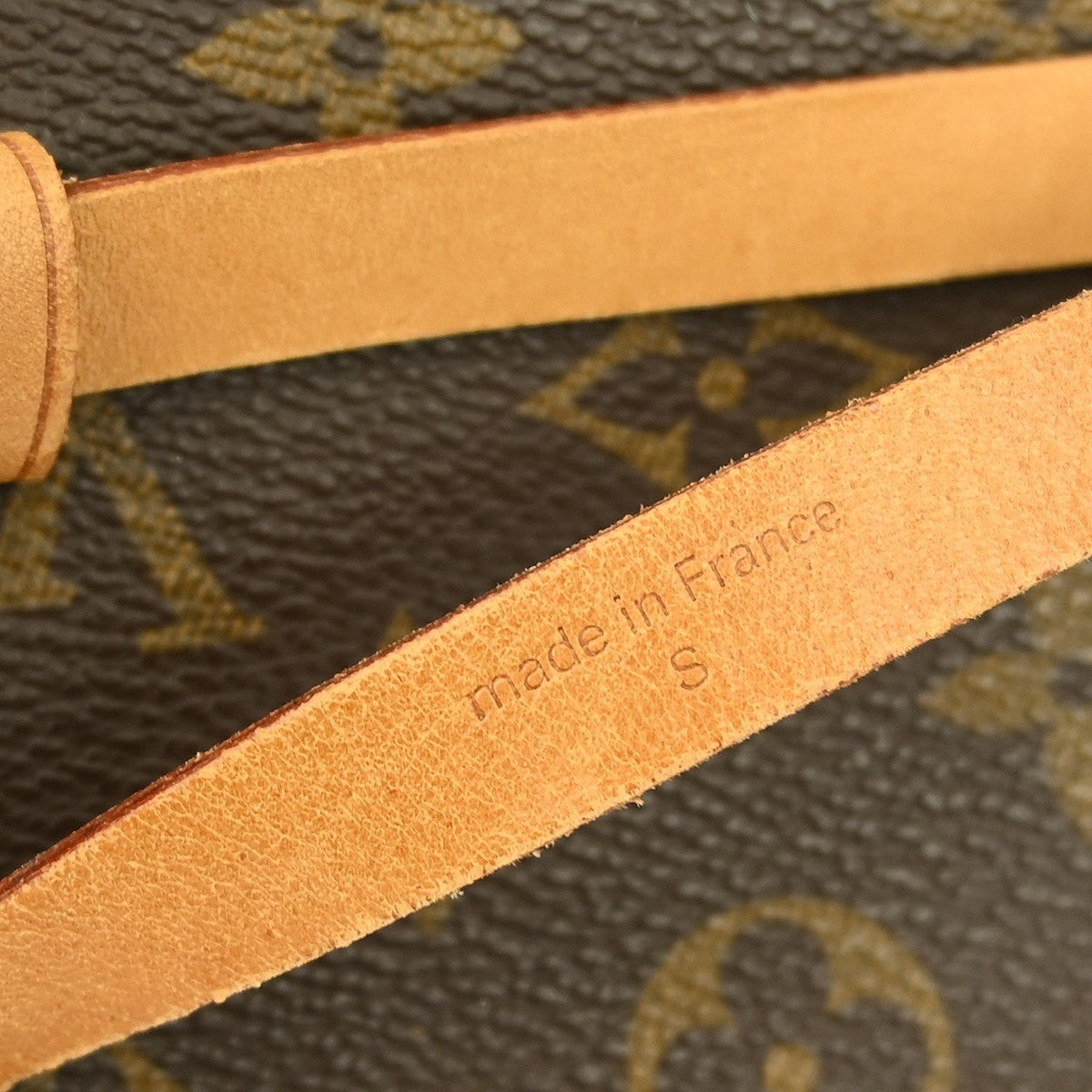 Louis Vuitton Florentine Waist Bag Monogram Canvas, BROWN, CANVAS, Clutche & pouche