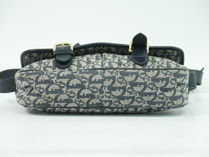 Christian Dior Trotter shoulder bag Canvas, GRAY, CANVAS, Shoulder bag