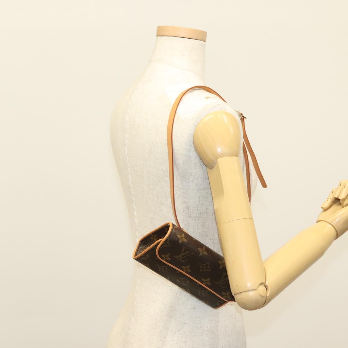 Louis Vuitton Florentine Waist Bag Monogram Canvas, BROWN, CANVAS, Clutche & pouche