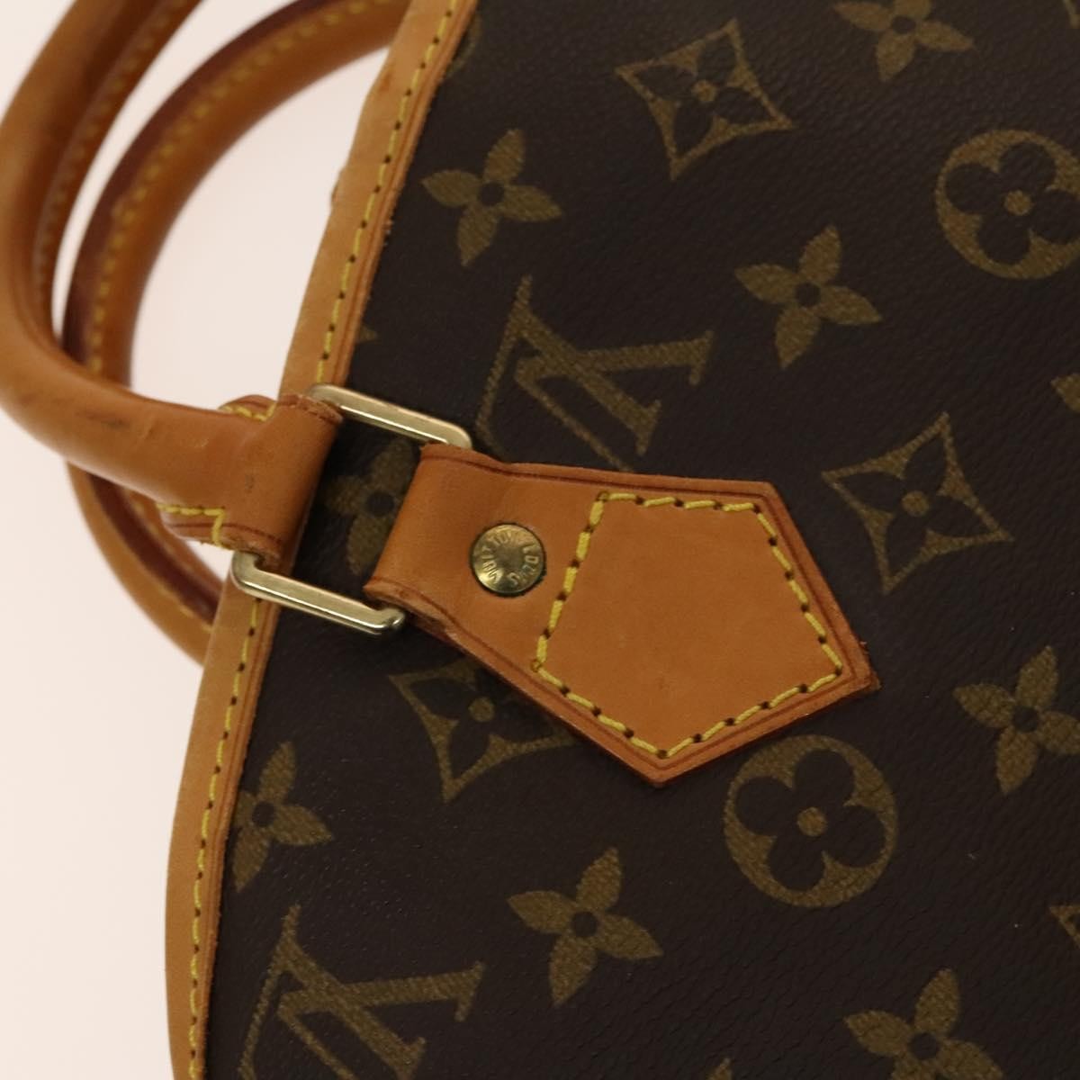 Louis Vuitton Garment case Canvas, BROWN, CANVAS, Travel bag