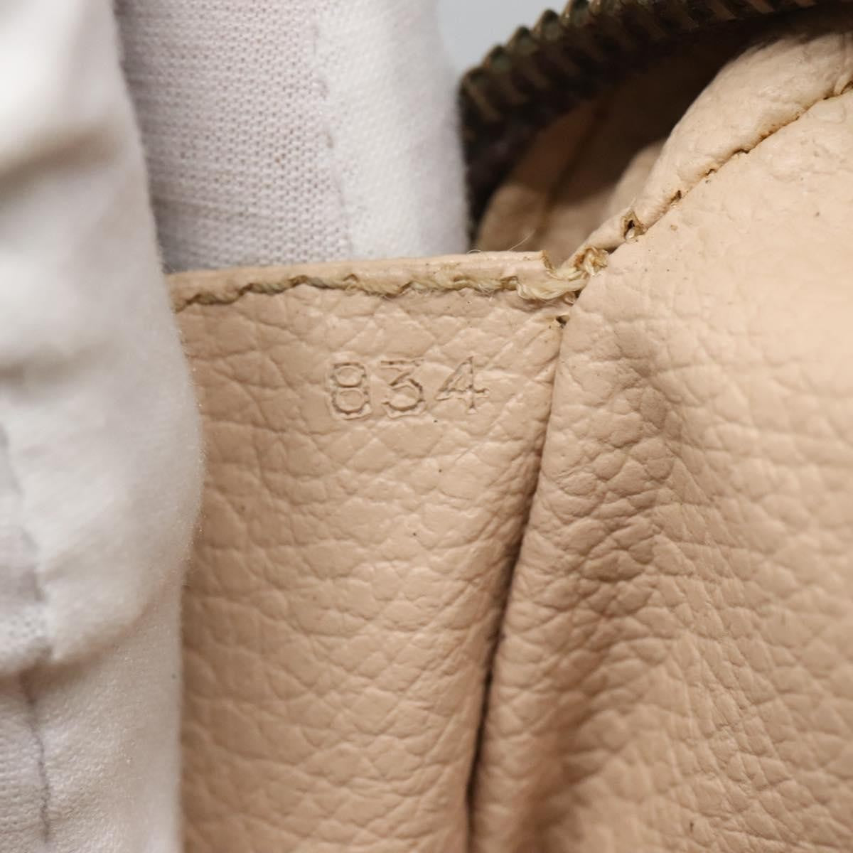 Louis Vuitton Trousse Toilette Monogram Canvas, BROWN, CANVAS, Clutche & pouche