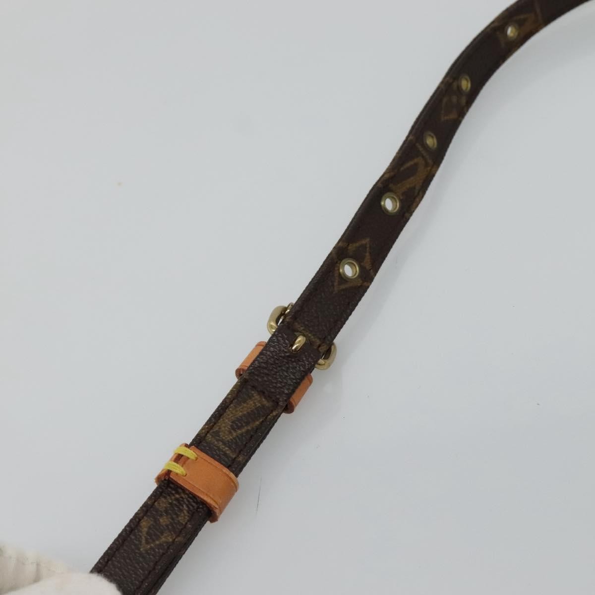 Louis Vuitton Amazone Bag Monogram Canvas, MULTICOLOUR, CANVAS, Shoulder bag