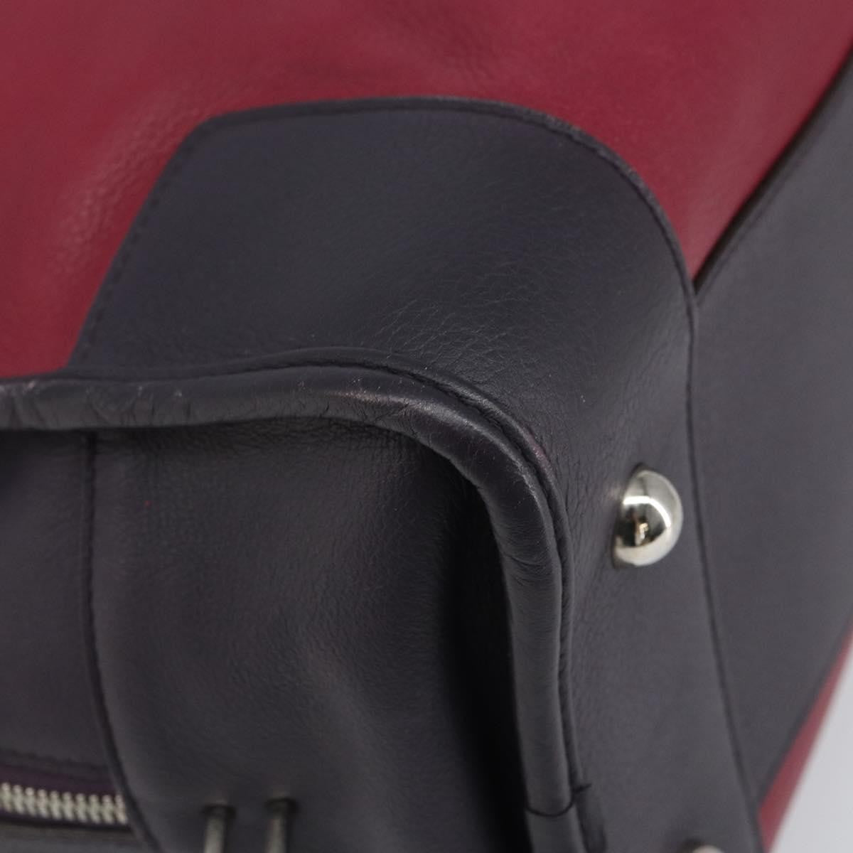 Loewe Amazona Bag Leather, RED, LEATHER, Handbag