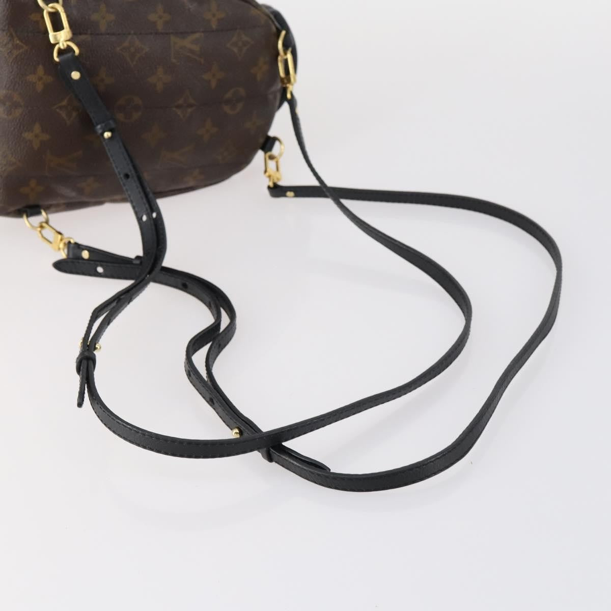 Louis Vuitton Palm Springs Backpack Monogram Canvas, BROWN, CANVAS, Backpack