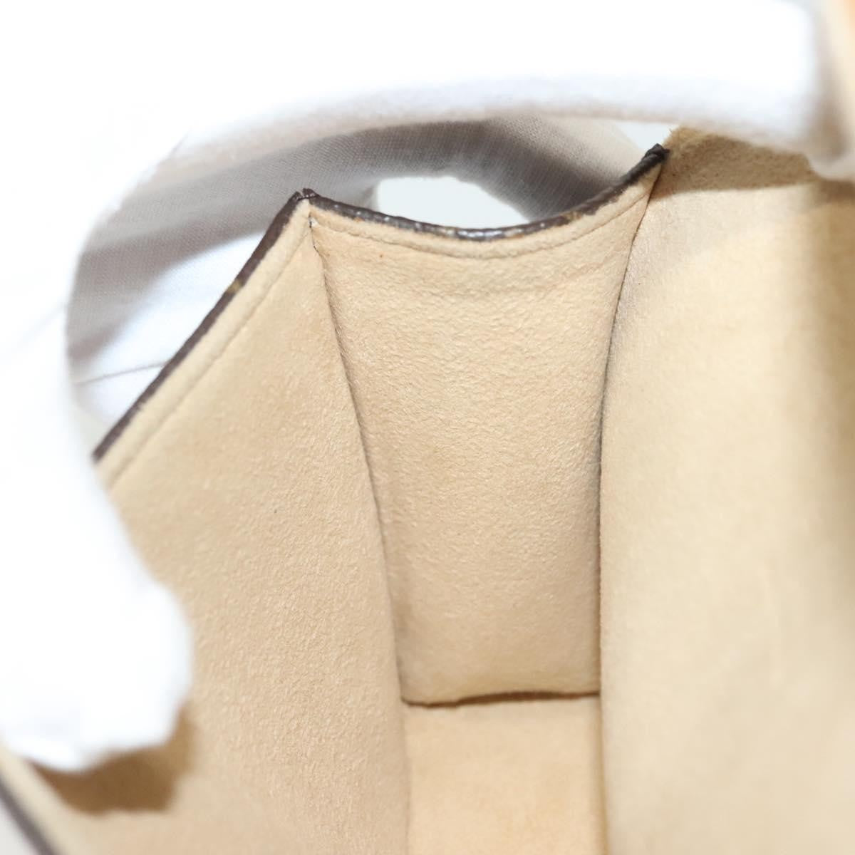 Louis Vuitton Florentine Waist Bag Monogram Canvas, BROWN, CANVAS, Travel bag