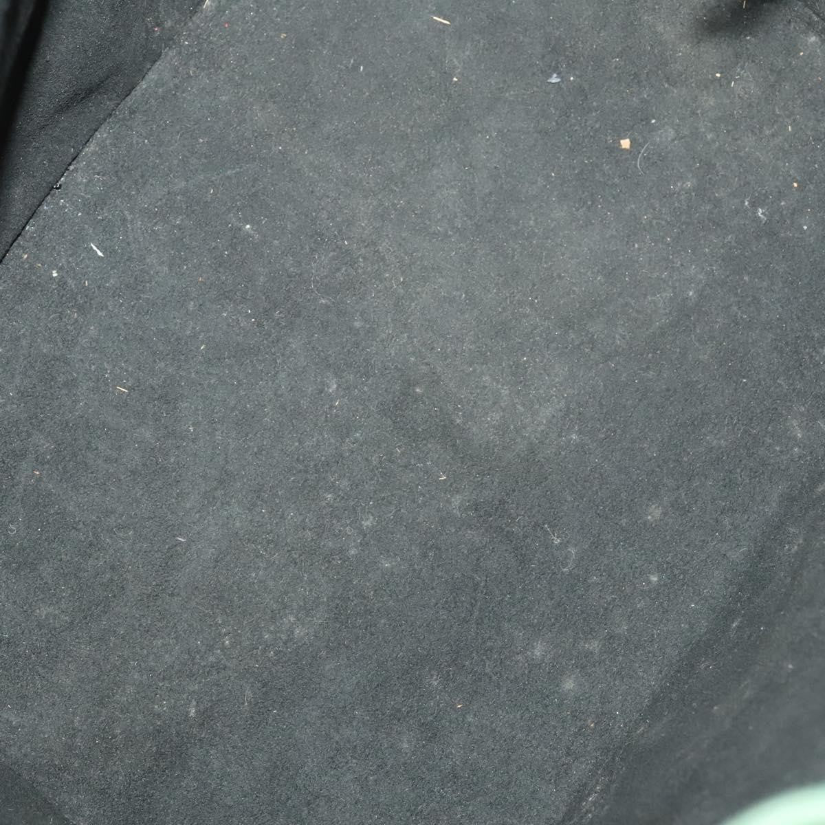 Louis Vuitton Petit Noe Handbag Epi Leather, GREEN, LEATHER, Shoulder bag