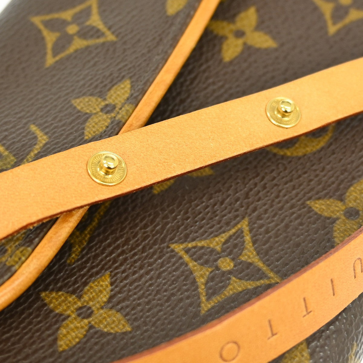Louis Vuitton Florentine Waist Bag Monogram Canvas, BROWN, CANVAS, Shoulder bag