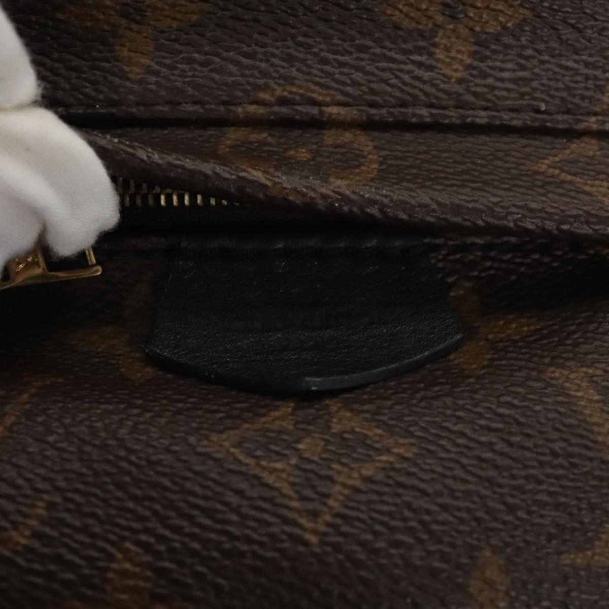 Louis Vuitton Palm Springs Backpack Monogram Canvas, BROWN, CANVAS, Backpack