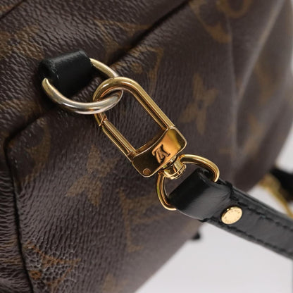 Louis Vuitton Palm Springs Backpack Monogram Canvas, BROWN, CANVAS, Backpack