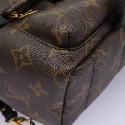 Louis Vuitton Palm Springs Backpack Monogram Canvas, BROWN, CANVAS, Backpack