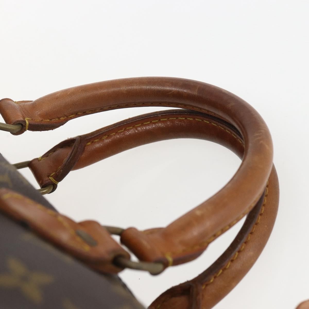 Louis Vuitton Speedy Handbag Monogram Canvas, BROWN, CANVAS, Handbag