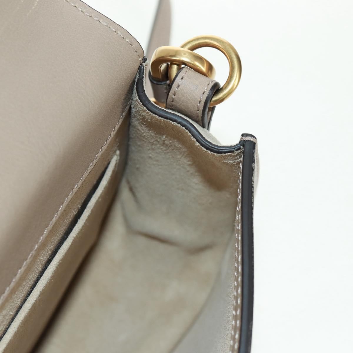 Chloe Nile Crossbody Bag Leather, BEIGE, LEATHER, Shoulder bag