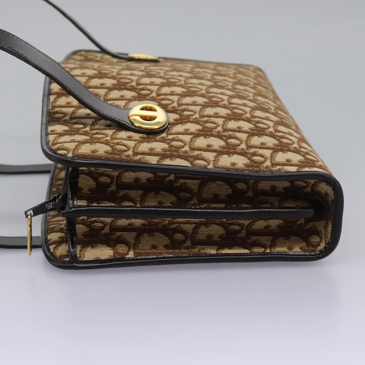 Christian Dior Trotter Canvas, BROWN, CANVAS, Handbag