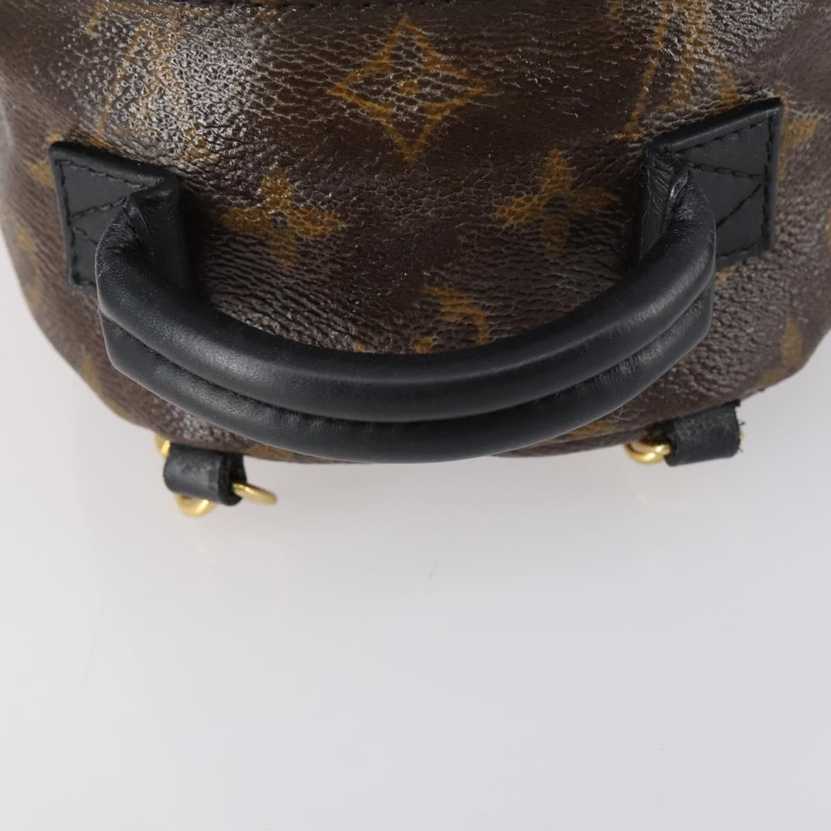 Louis Vuitton Palm Springs Backpack Monogram Canvas, BROWN, CANVAS, Backpack