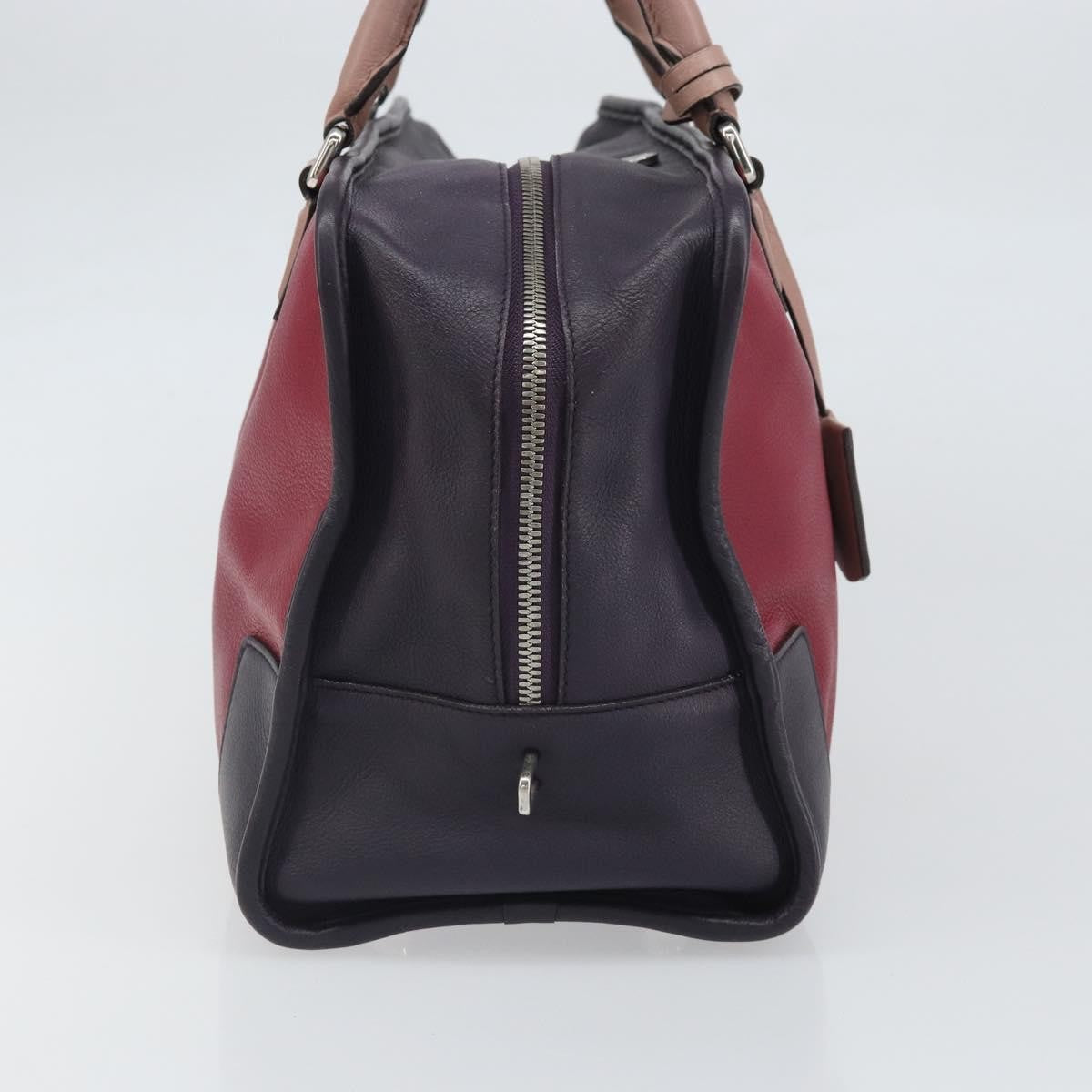 Loewe Amazona Bag Leather, RED, LEATHER, Handbag