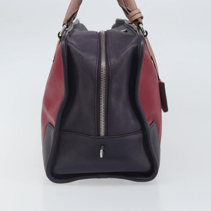 Loewe Amazona Bag Leather, RED, LEATHER, Handbag