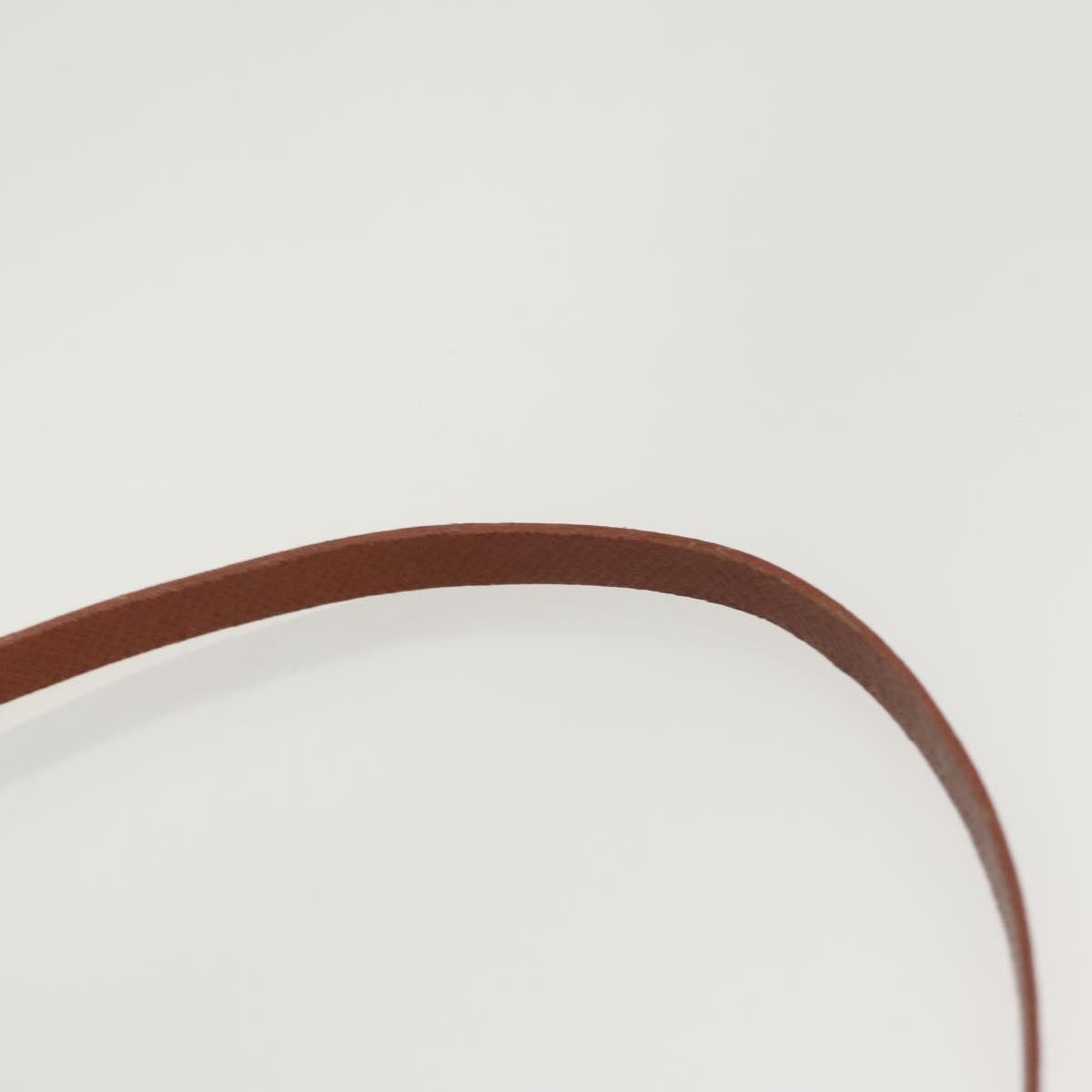 Louis Vuitton Papillon Pochette Monogram Canvas, BROWN, CANVAS, Handbag