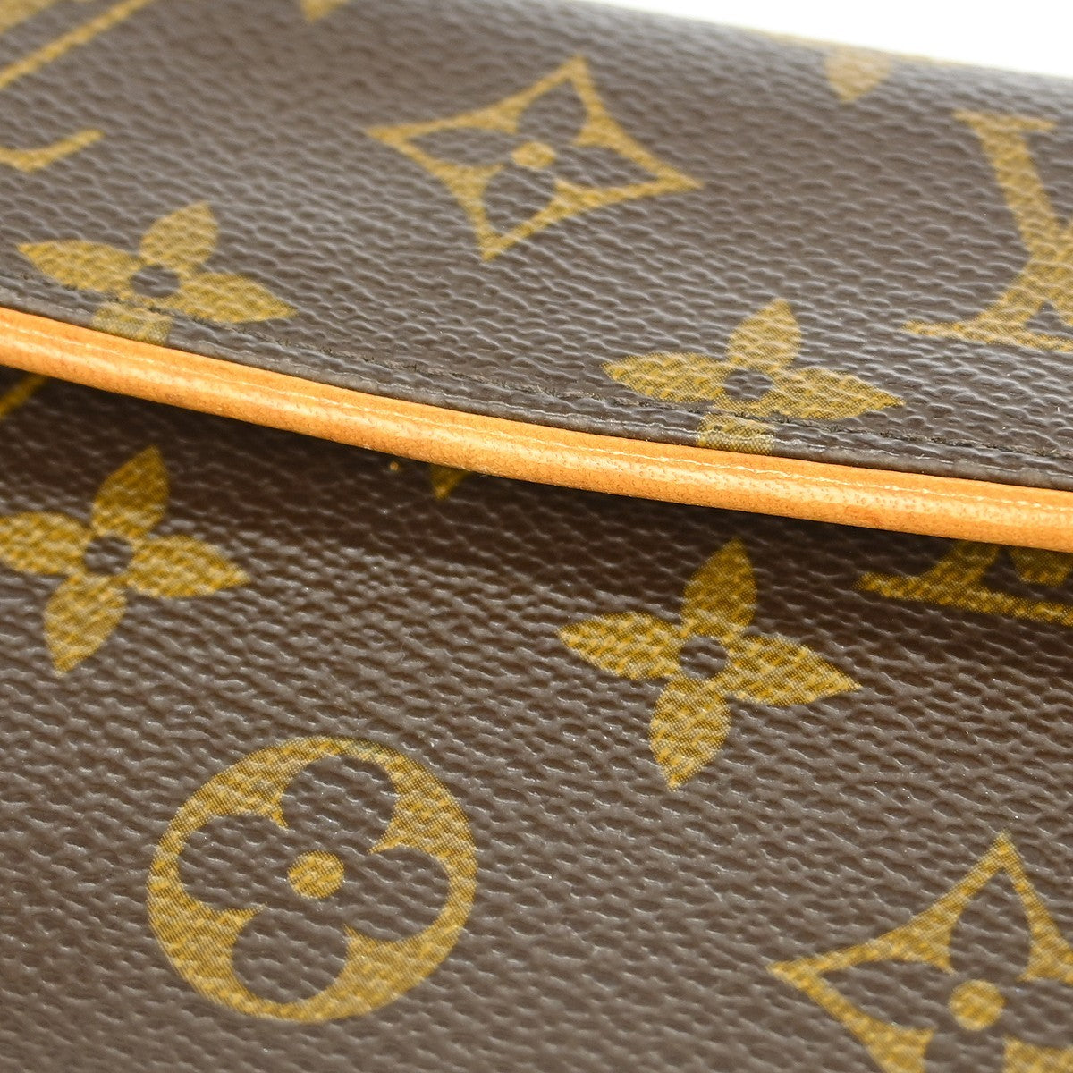 Louis Vuitton Florentine Waist Bag Monogram Canvas, BROWN, CANVAS, Shoulder bag