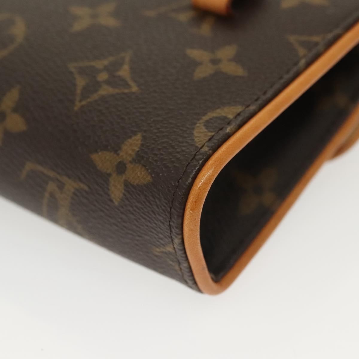Louis Vuitton Florentine Waist Bag Monogram Canvas, BROWN, CANVAS, Travel bag