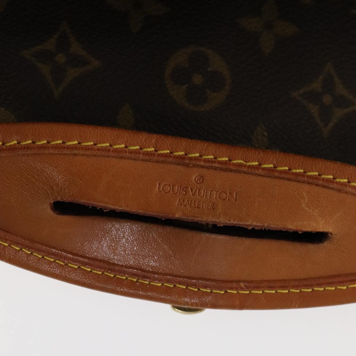 Louis Vuitton Garment Cover Canvas, BROWN, CANVAS, Travel bag