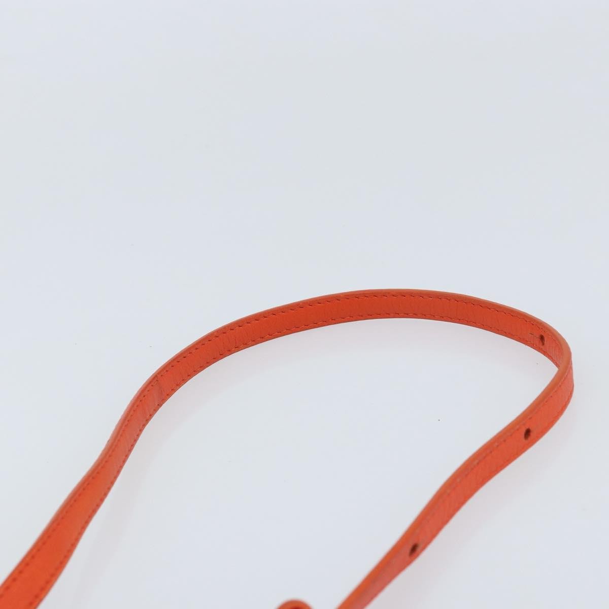 Celine Trio Crossbody Bag Leather, ORANGE, LEATHER, Shoulder bag