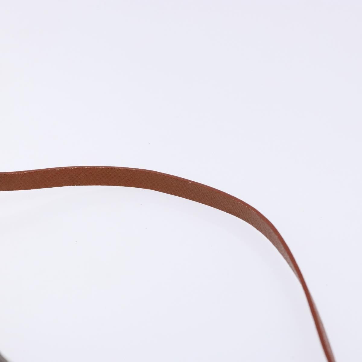 Louis Vuitton Papillon Pochette Monogram Canvas, BROWN, CANVAS, Handbag