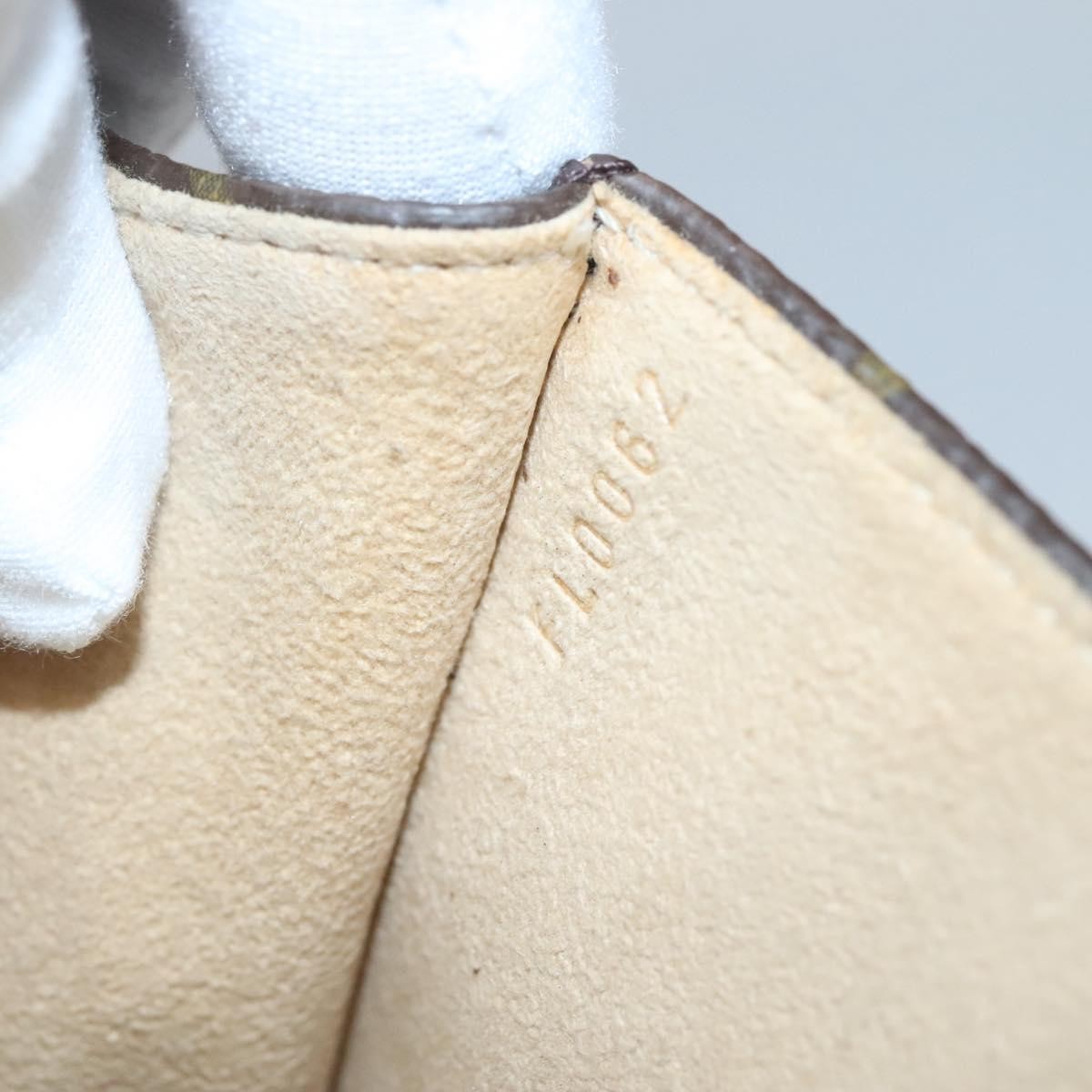 Louis Vuitton Florentine Waist Bag Monogram Canvas, BROWN, CANVAS, Travel bag