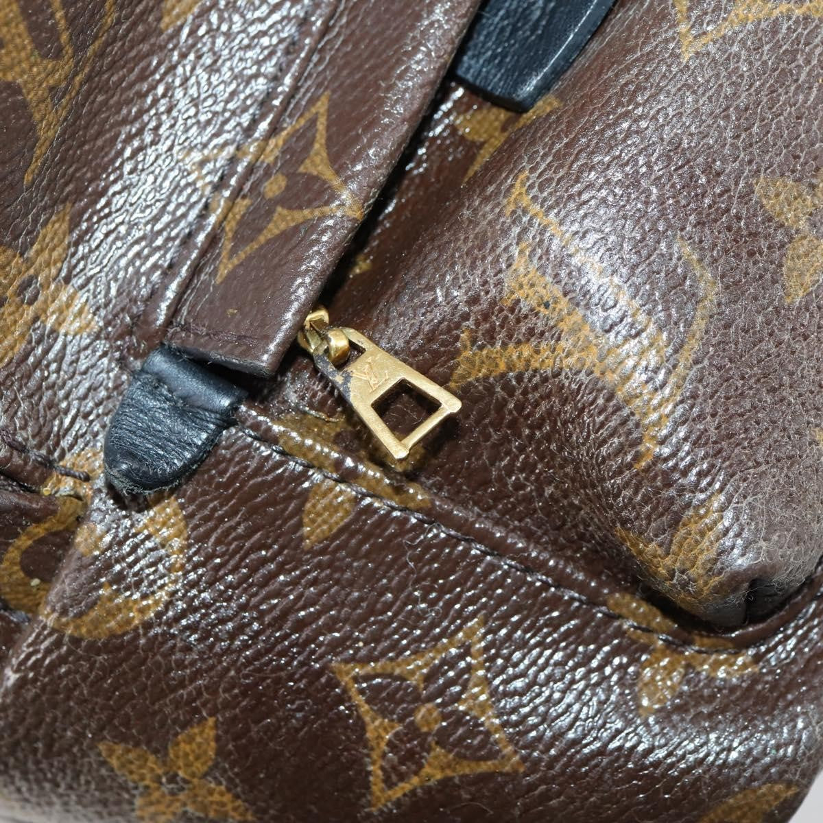 Louis Vuitton Palm Springs Backpack Monogram Canvas, BROWN, CANVAS, Backpack