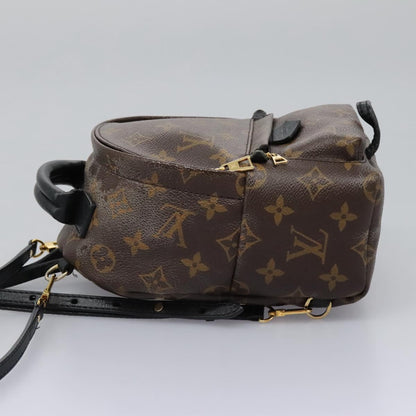 Louis Vuitton Palm Springs Backpack Monogram Canvas, BROWN, CANVAS, Backpack