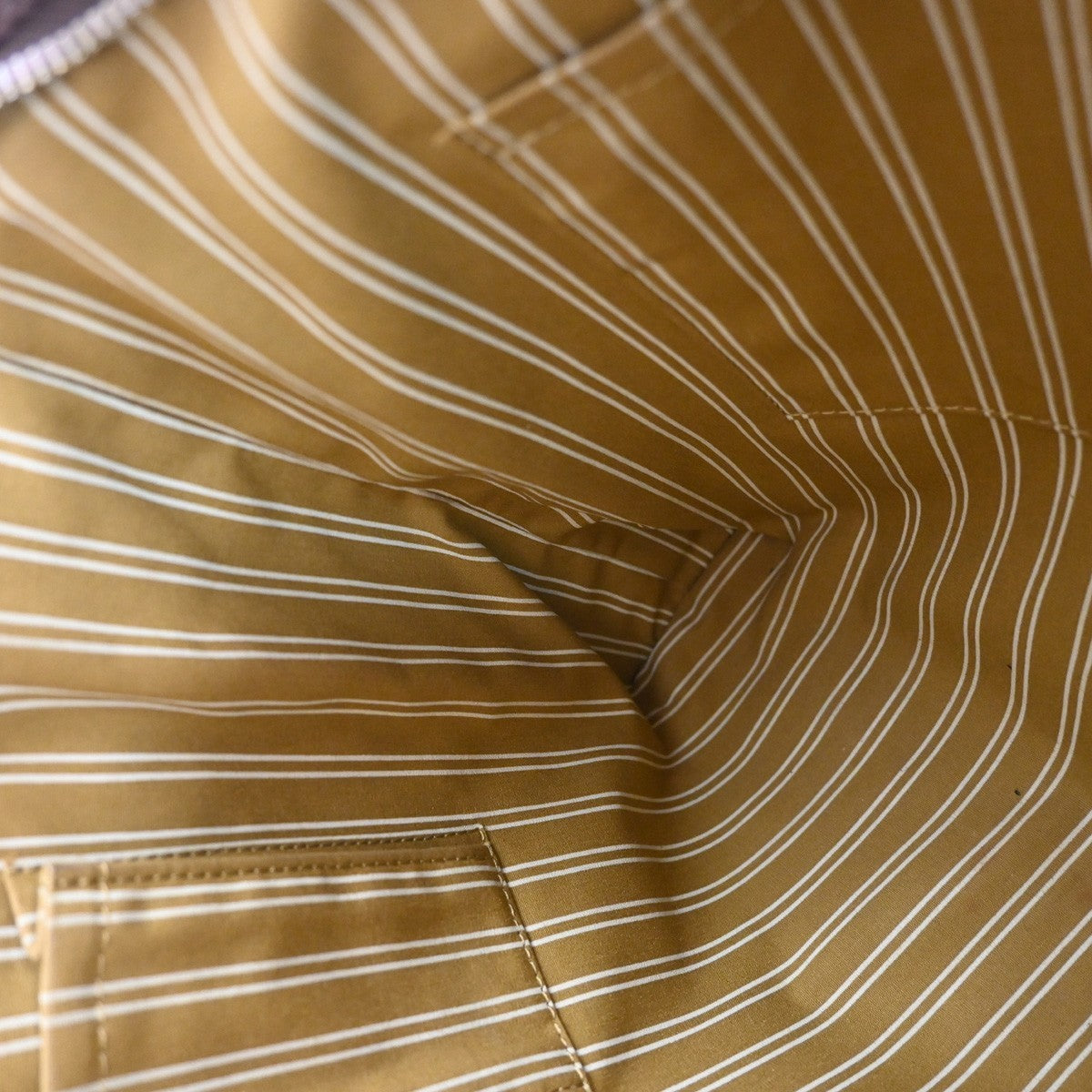 Louis Vuitton Antigua Tote Canvas, BROWN, CANVAS, Tote bag