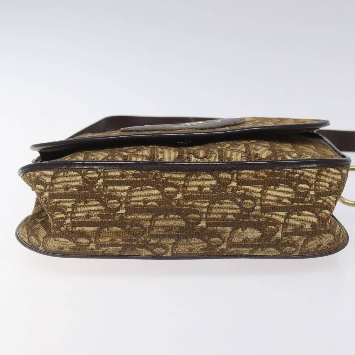 Christian Dior Vintage Trotter Flap Shoulder Bag Canvas, BROWN, CANVAS, Shoulder bag