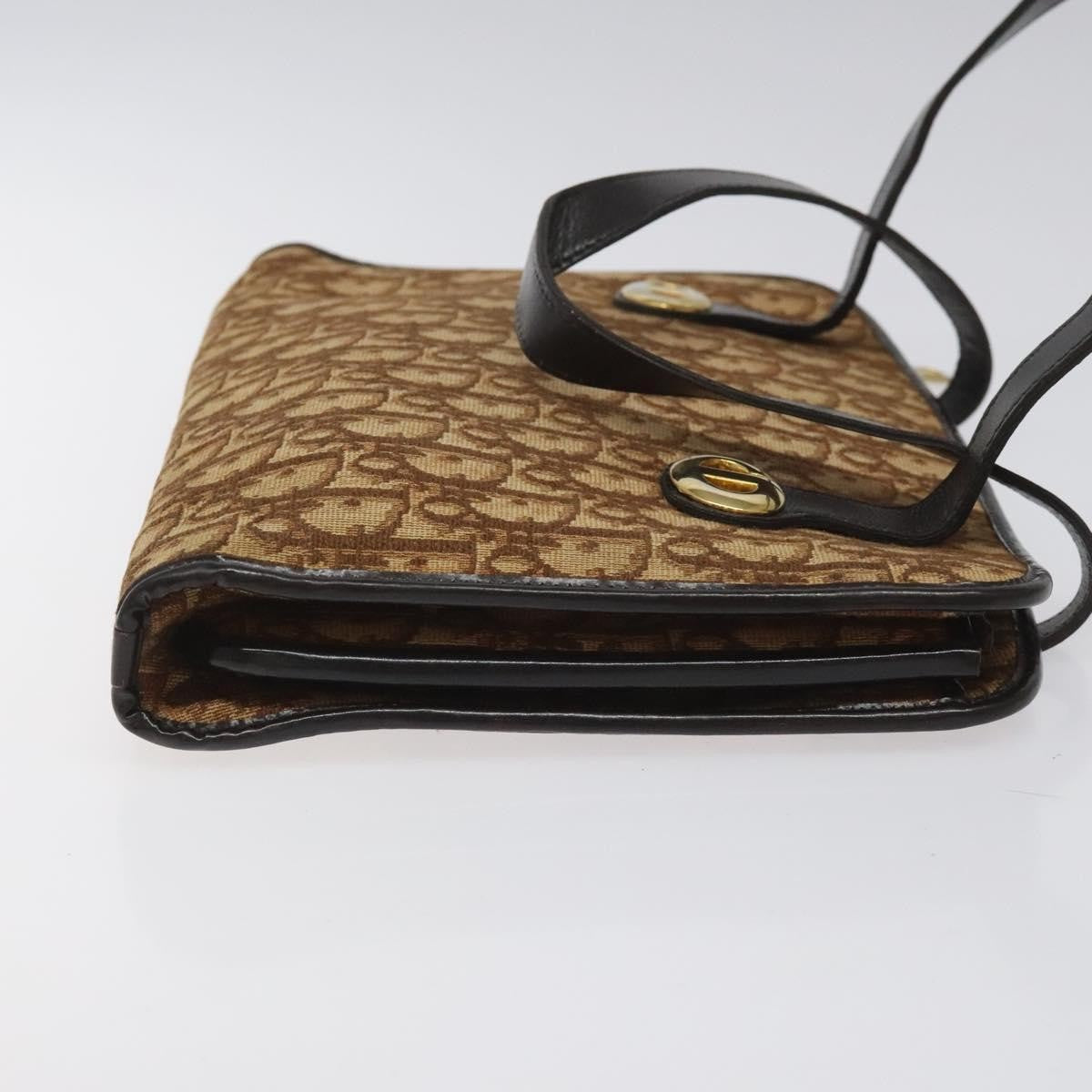 Christian Dior Trotter Canvas, BROWN, CANVAS, Tote bag