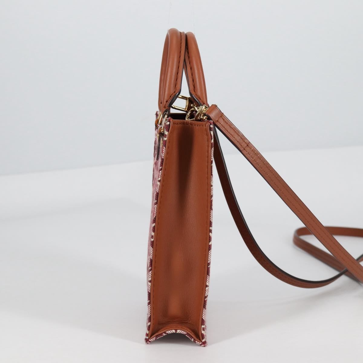 Louis Vuitton Petit Sac Plat Bag Limited Edition Since 1854 Monogram Jacquard, BROWN, CANVAS, Handbag