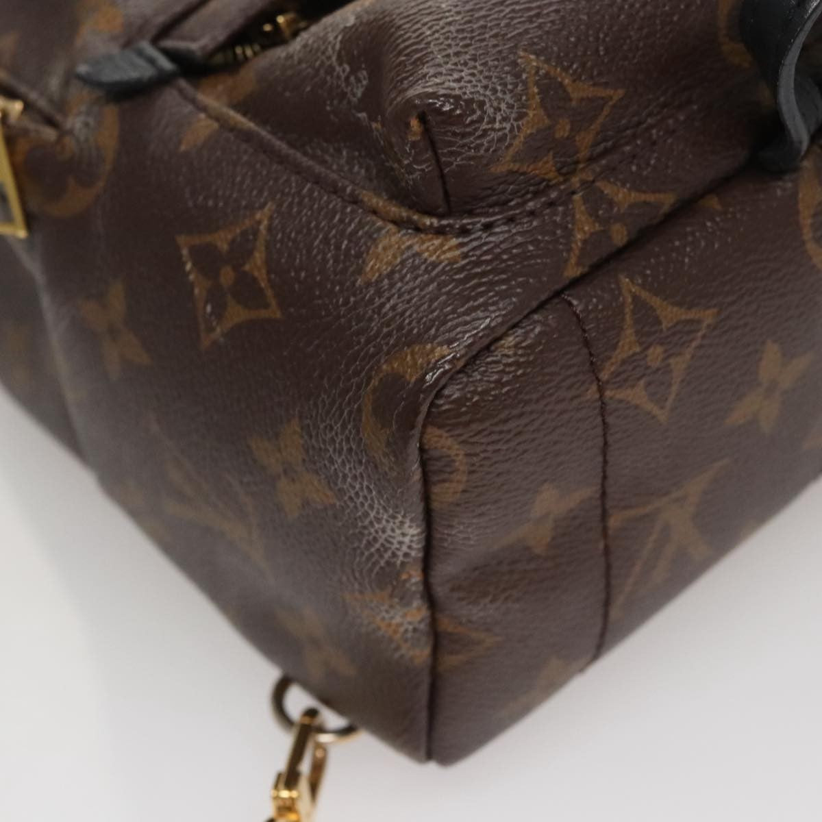 Louis Vuitton Palm Springs Backpack Monogram Canvas, BROWN, CANVAS, Backpack