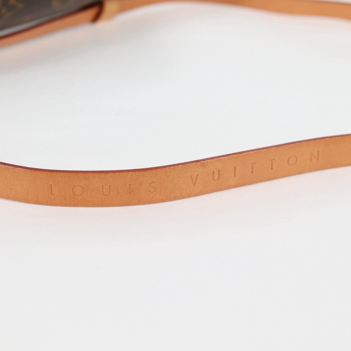 Louis Vuitton Florentine Waist Bag Monogram Canvas, BROWN, CANVAS, Shoulder bag