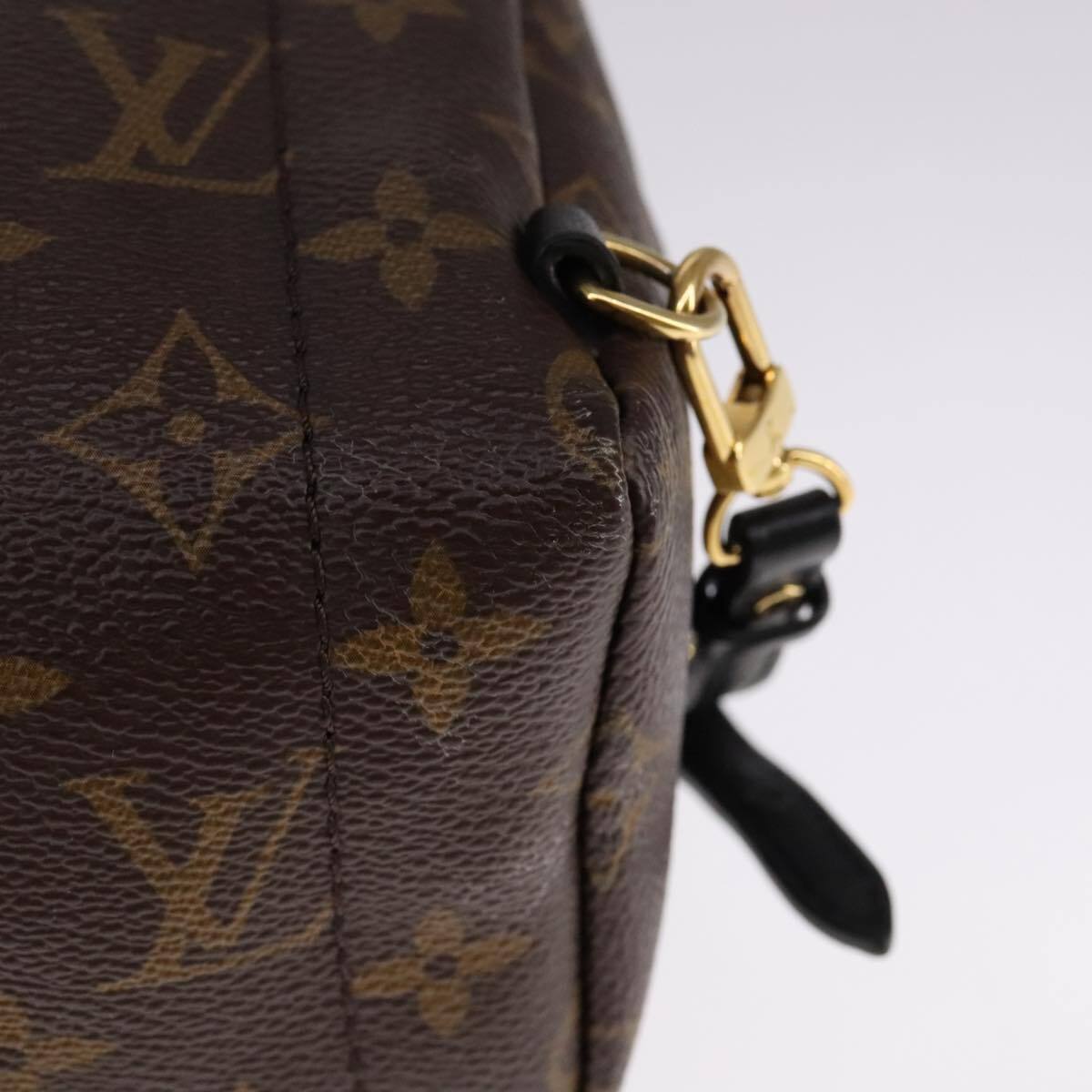 Louis Vuitton Palm Springs Backpack Monogram Canvas, BROWN, CANVAS, Backpack