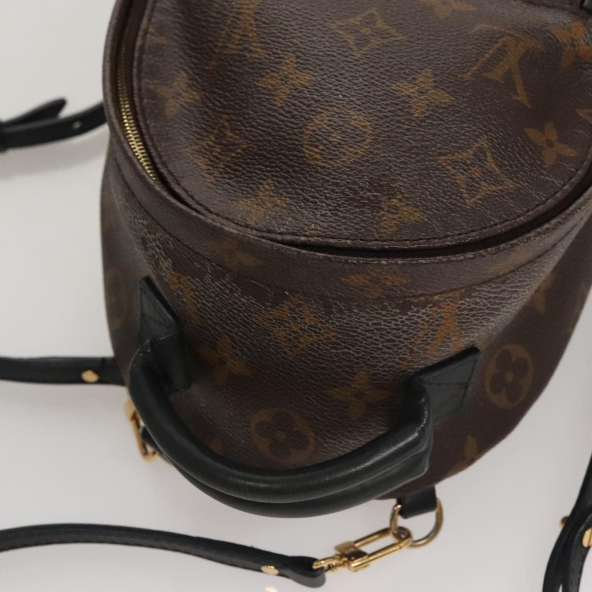 Louis Vuitton Palm Springs Backpack Monogram Canvas, BROWN, CANVAS, Backpack