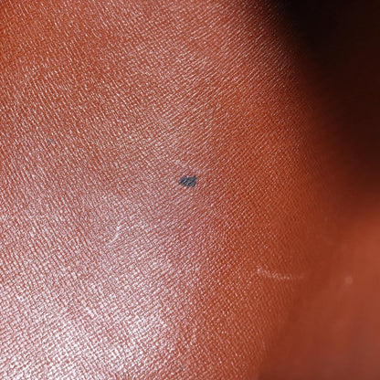 Louis Vuitton Papillon Handbag Monogram Canvas, BROWN, CANVAS, Handbag