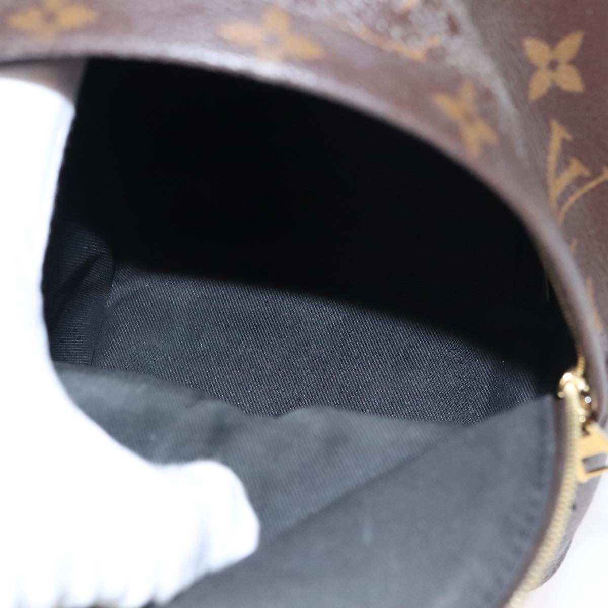 Louis Vuitton Palm Springs Backpack Monogram Canvas, BROWN, CANVAS, Backpack